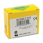 FUSE S500 250V FAST ACTING